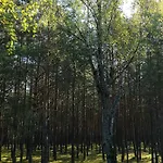 Pelen Szczescia *