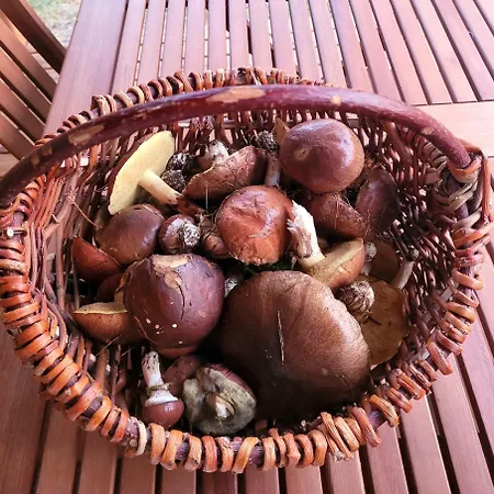 Vakantiehuis Pelen Szczescia *