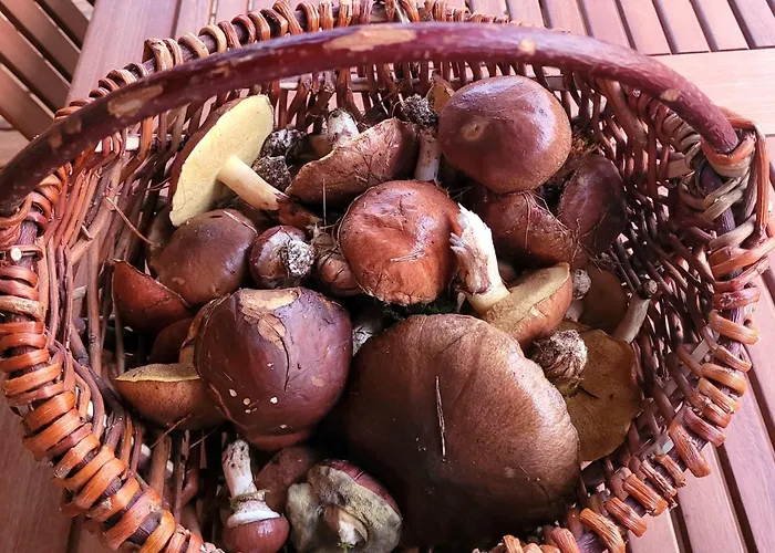 Сasa de vacaciones Pelen Szczescia *